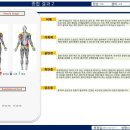 체형&채형 이미지
