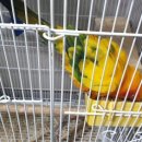 주주농장 이미지