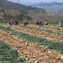 농업할인마트 이미지