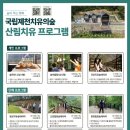 제천 치유의 숲 이미지