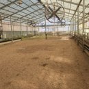 괴산염소농장 이미지