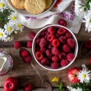 코리아히록스 이미지