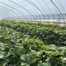 원원농장 이미지