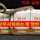 백반(명반)이 뱀퇴치에 최고다, 이미지