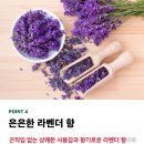 유일하이진 네이버블로그