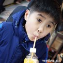 삼춘네민박 | 제주도 2박3일 여행코스, 제주동문시장 야시장 먹거리 추천