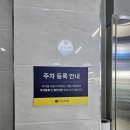 강원수산횟집 | [ 울산회맛집 / 수암횟집 ] 강원수산 수암회수산시장점 방문후기 : 울산회포장