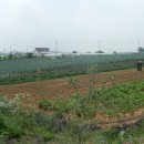 향남농장 이미지