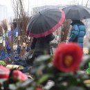 거창시장 이미지