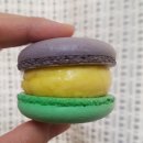 마미카롱 - 종로구 | [의정부/신한대] 마미카롱 : 세 번 방문 후 올리는 뚱카롱 솔직 후기@