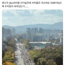 금일