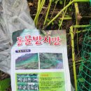 동막골 농장 이미지