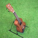 우쿨렐레 이미지