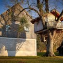 트리하우스 이미지