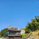 진남로 | 부산 전포 분위기 좋은 카페 리투커피바 인 전포숲 방문 후기｜힐링되는 감성 카페