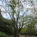 한양당구장 이미지