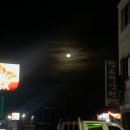 신바람난찐빵집손만두 이미지