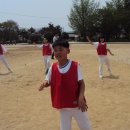 대마초등학교 이미지