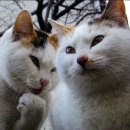 해담스튜디오