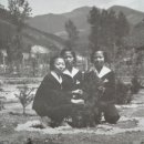 함백여자중학교 이미지