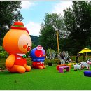 배고개사거리 교통섬 | 2026 가평 자라섬 꽃페스타 답사후기