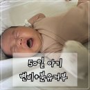 일동후디스 | 50일 아기 변비+분유거부 시기에 먹여본 일동후디스 유산균 솔직후기