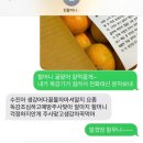 피슈마라홍탕(서여의도점) | 차근차근 결실을 맺기 시작한 11월