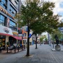 수원-0568 이미지