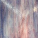 파라키스 이미지