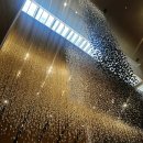 망고타이 | 호텔 더 라이브러리, 내돈내산 13만원 망고빙수와 타이 누들 솔직 후기: 웨이팅부터 주차, 아쉬웠던...
