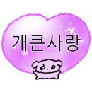 목화양분식