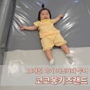 18개월 아기 키즈카페 [코코몽키즈랜드 NC백화점부산대점]