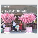 꽃단,장 | 대구 이월드 봄나들이. 30주년 생일파티. 주주팜. 3월 벚꽃 실시간 개화상태