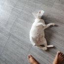 강고피시방 | 2024.09 가을이어따🍂