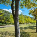 화랑체육공원 운동시설 이미지