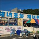 통영 해물포차 | 뿔소라 고등어회 최고 통영맛집.통영포차 후기
