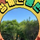 소담채2 이미지