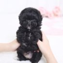 키즈멍 안양본점 이미지