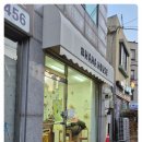 천송화