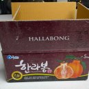 창주농장 네이버블로그