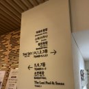 라니휘트니스 | 강릉라카이샌드 실내수영장 아이와 함께 온수풀 라니풀