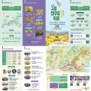 구례세진관광여행사 | 구례 산수유꽃 축제 주차장 2026 실시간 개화 확인 방법 공유