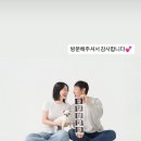 무토스광교지사 | 광교사진관 하파데이스튜디오 강아지 가족사진 임신기념사진 남겼어요