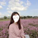샤론헤어샵 이미지