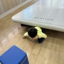 형제3태권도 이미지