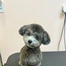 리틀 포레브 이미지