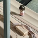 보이지(VOYAGE) | [なにわ男子] 나니와단시 Bon Bon Voyage 홋카이도 참전 후기