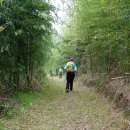 섬진강 둘레길 이미지