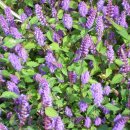 한재범 카카오 검색결과