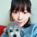 태연라이브